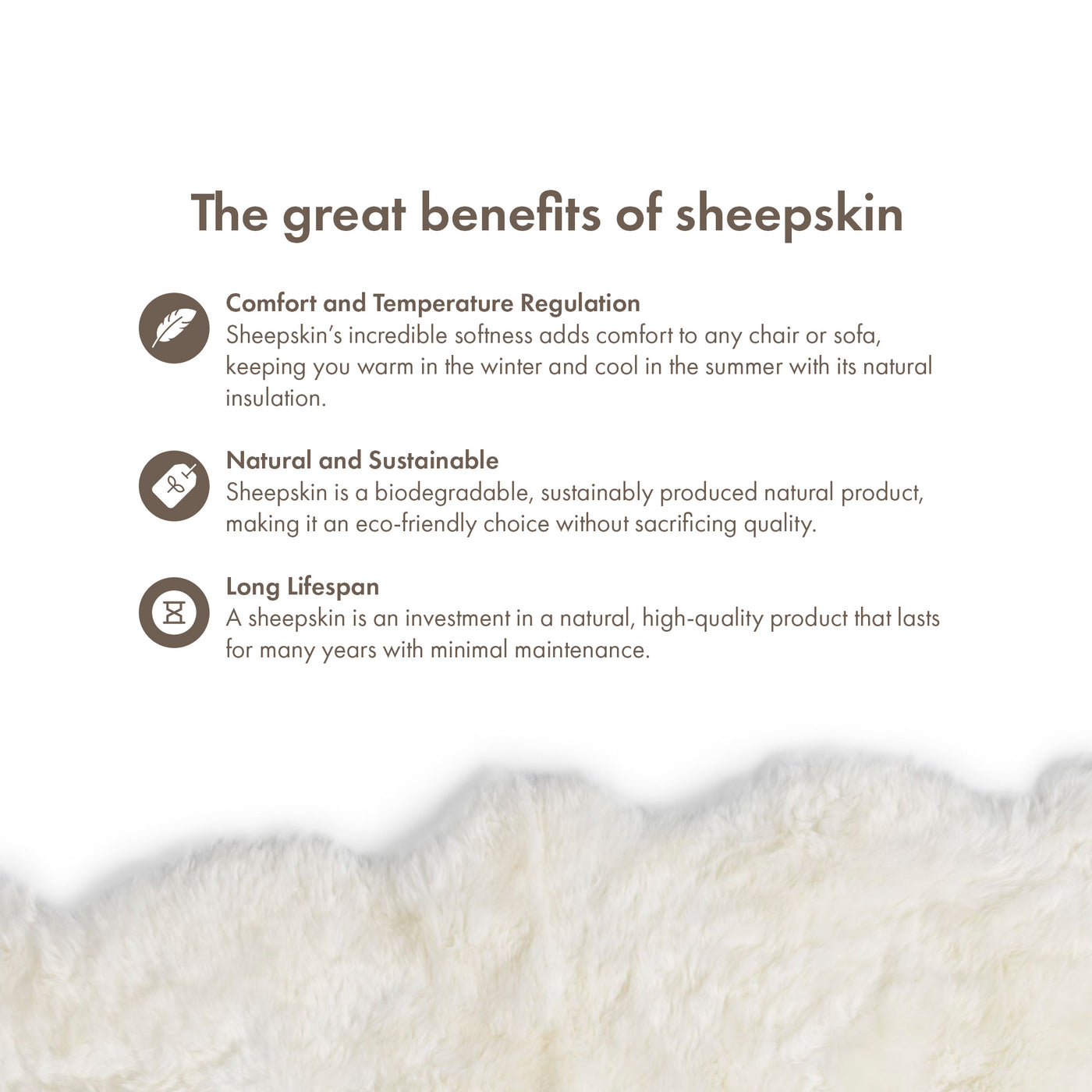 Merino Sheepskin Rug Long Wool 67x43 in - Ivory